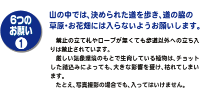 マナー１
