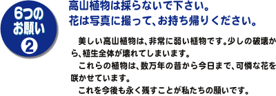 マナー２