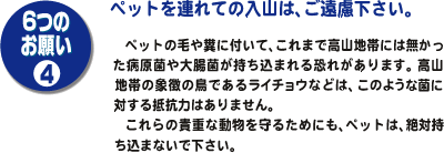 マナー４