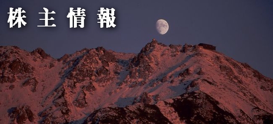 株主情報