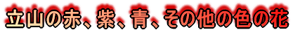 R̐ԁAAȂ̐F̉ 