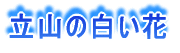 立山の白い花